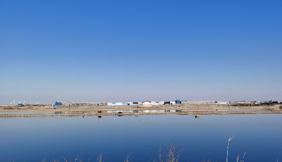 Scallop farming ponds