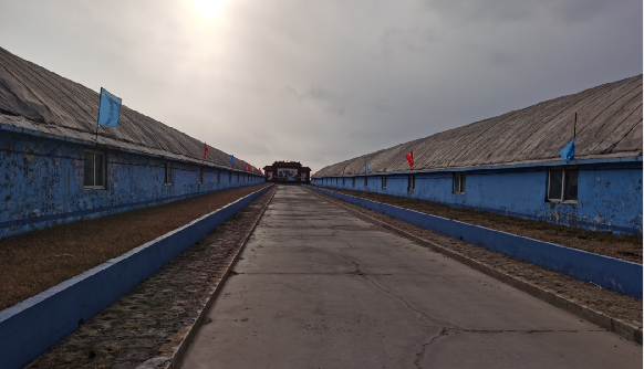 Outside view of breeding workshops